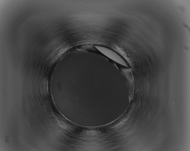 X0000092320205200710051302