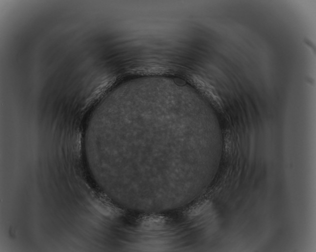 X0000092320206200710051302