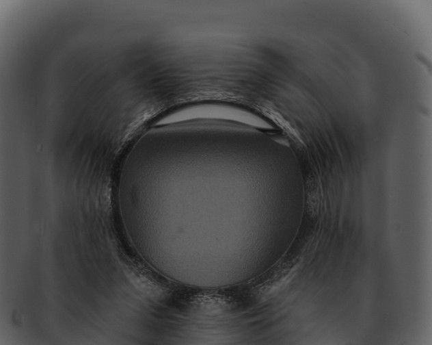 X0000092320207200710051302