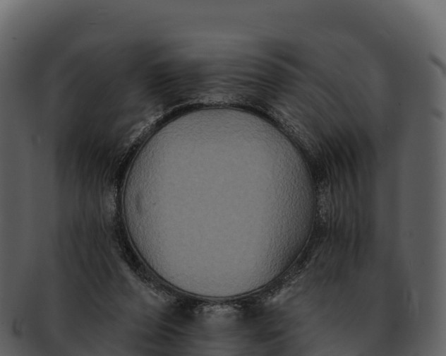 X0000092320208200710051302