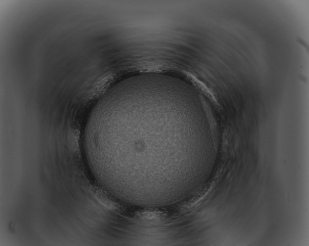 X0000092320209200710051302