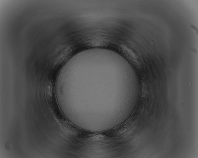 X0000092320210200710051302