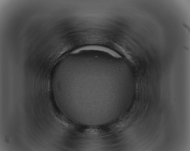 X0000092320211200710051302