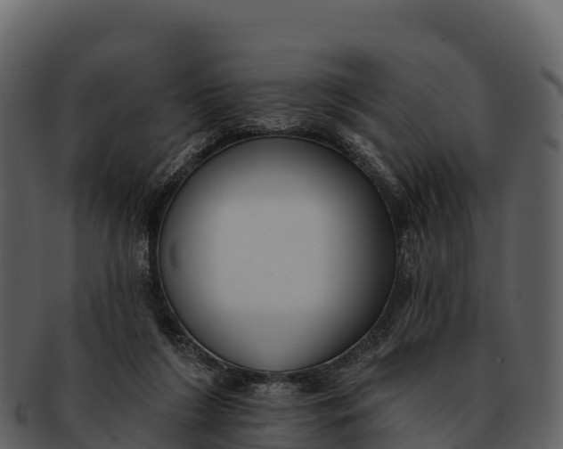 X0000092320212200710051302