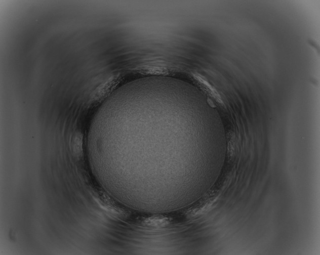 X0000092320213200710051302