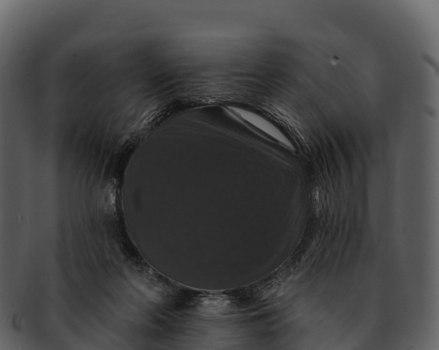 X0000092320214200710051302