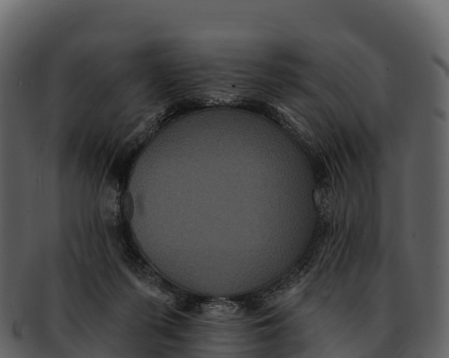 X0000092320215200710051302
