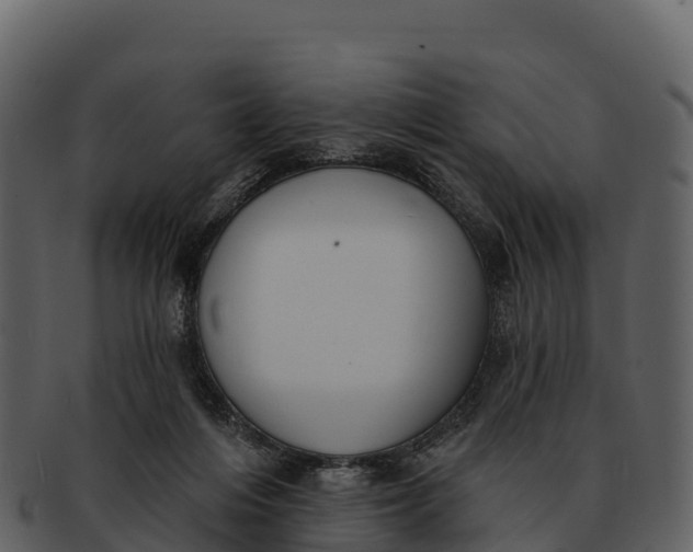 X0000092320216200710051302