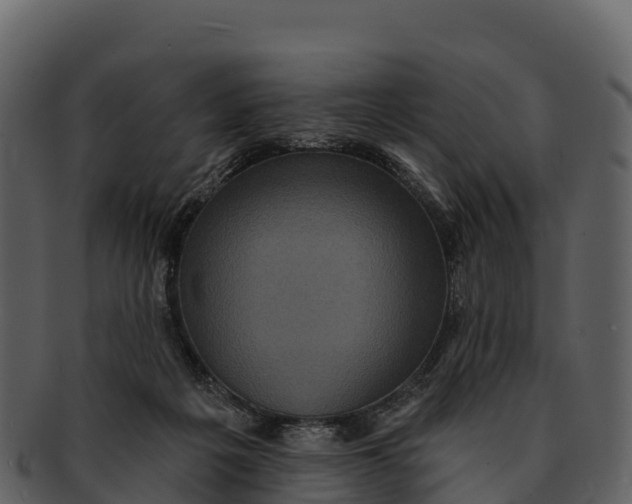 X0000092320217200710051302