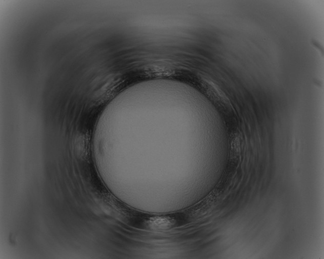 X0000092320218200710051302