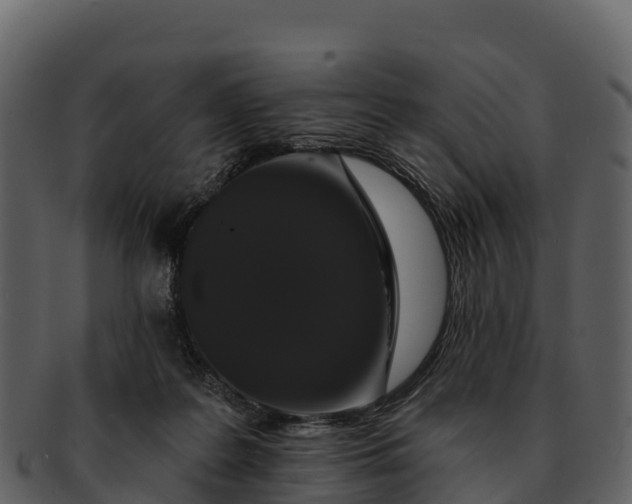 X0000092320219200710051302