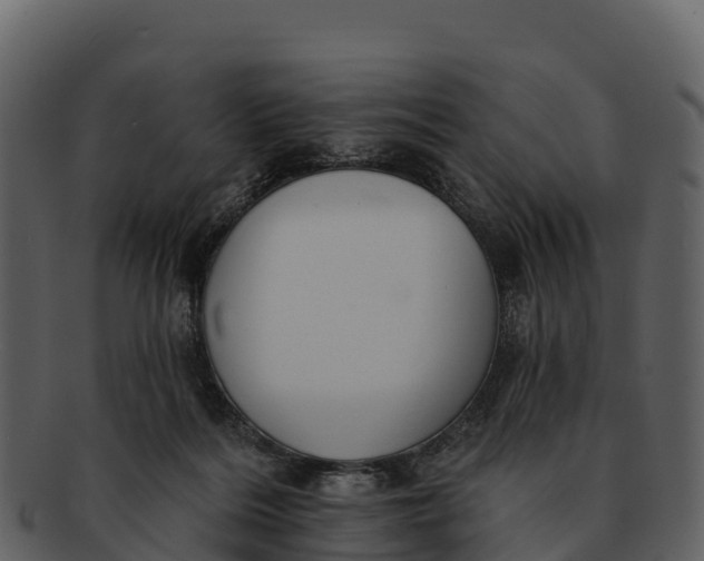 X0000092320220200710051302