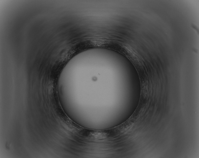 X0000092320221200710051302