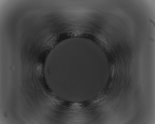 X0000092320222200710051302