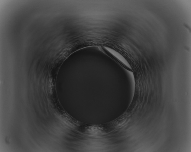 X0000092320223200710051302