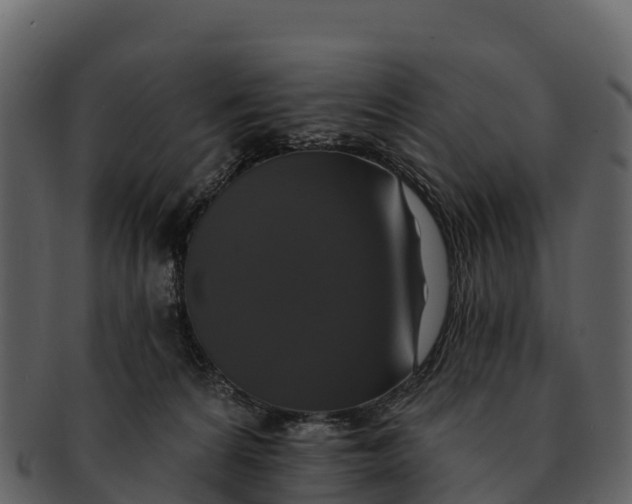 X0000092320224200710051302