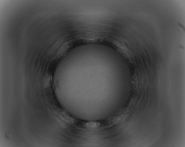 X0000092320225200710051302