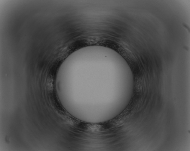 X0000092320226200710051302