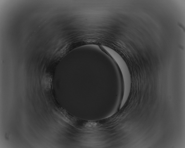 X0000092320227200710051302