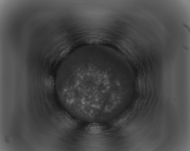 X0000092320228200710051302