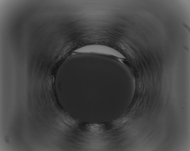 X0000092320229200710051302