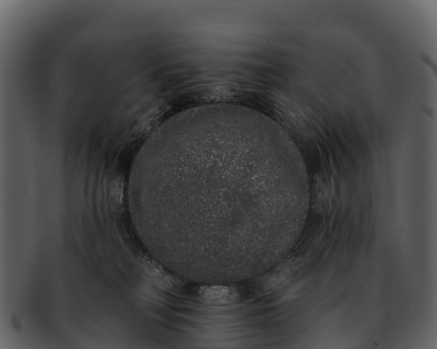 X0000092320230200710051302