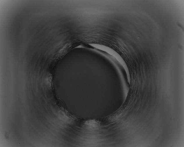 X0000092320231200710051302
