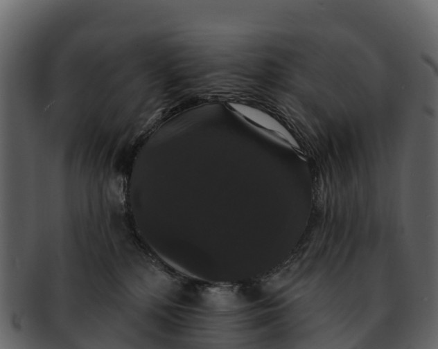 X0000092320232200710051302