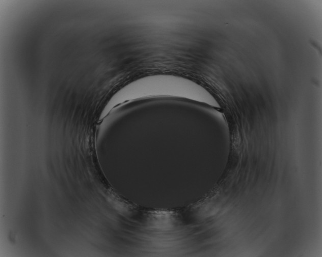 X0000092320233200710051302