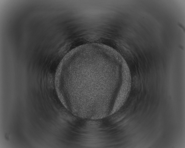 X0000092320234200710051302