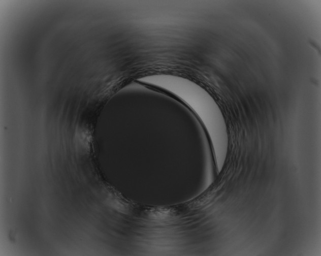 X0000092320235200710051302