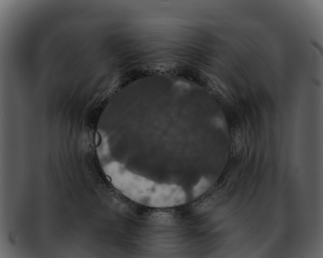 X0000092320236200710051302