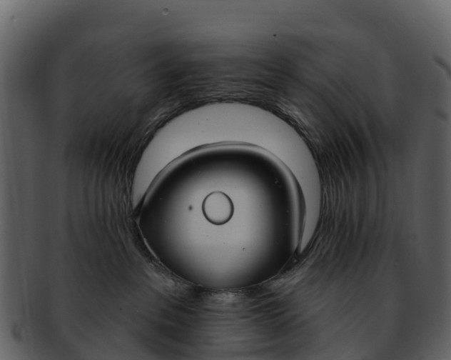 X0000092320237200710051302