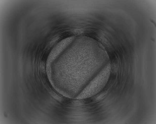 X0000092320238200710051302