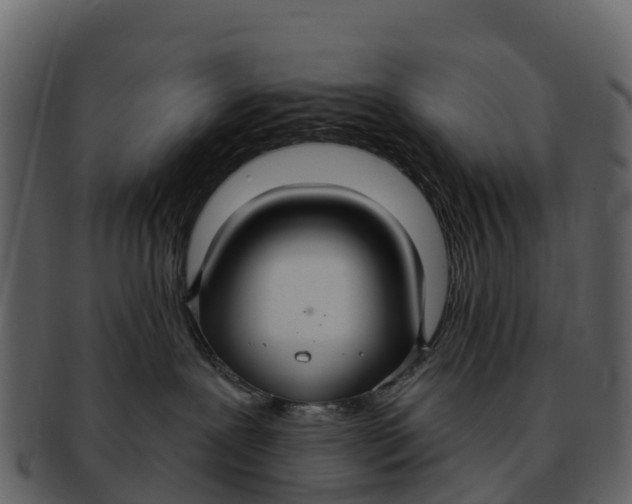 X0000092320239200710051302
