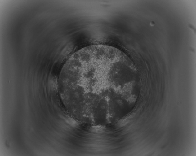 X0000092320240200710051302