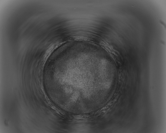 X0000092320241200710051302