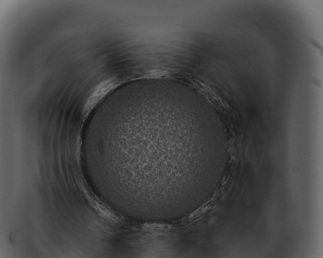 X0000092320242200710051302