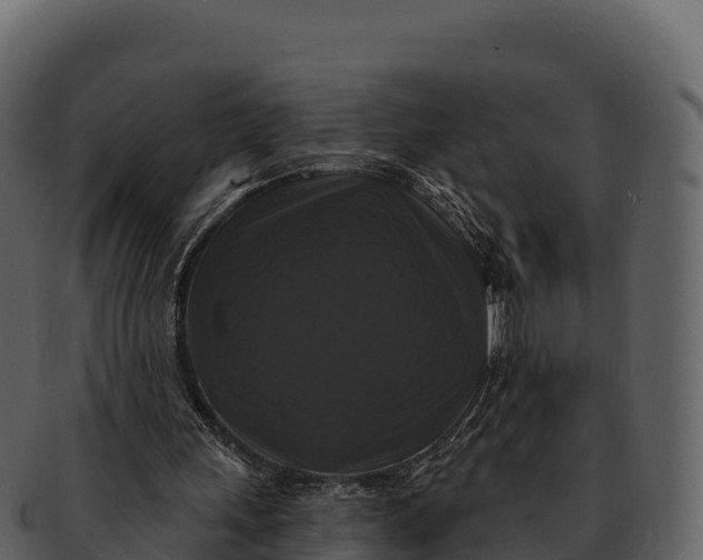 X0000092320243200710051302