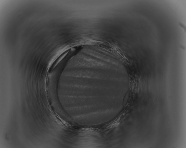 X0000092320244200710051302