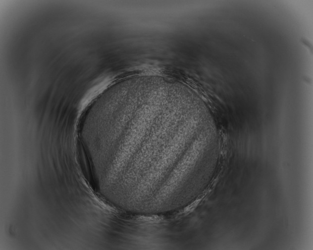 X0000092320245200710051302