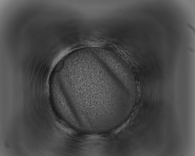 X0000092320246200710051302