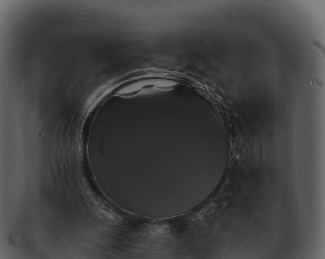 X0000092320247200710051302