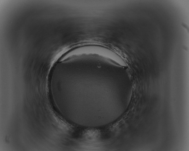 X0000092320248200710051302