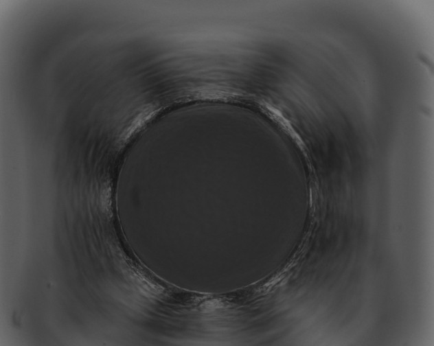 X0000092320249200710051302