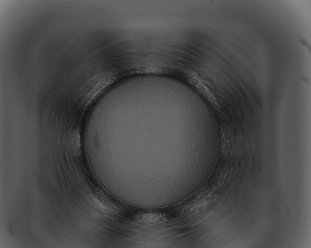 X0000092320251200710051302