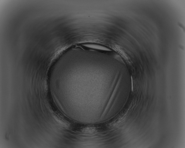 X0000092320252200710051302