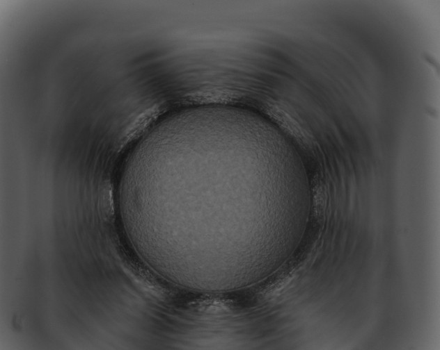 X0000092320254200710051302