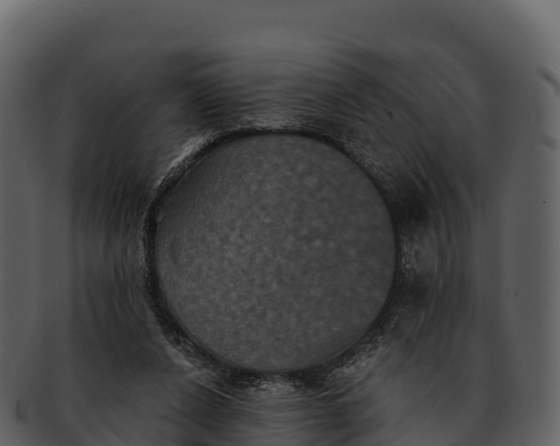 X0000092320256200710051302
