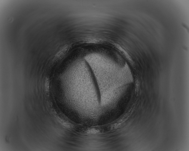 X0000092320257200710051302